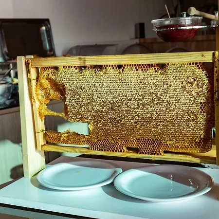 Fani Luxury * Stavros (Thessaloniki)